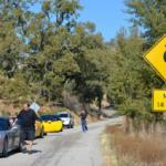 Cambria_0179 (November 03, 2012)